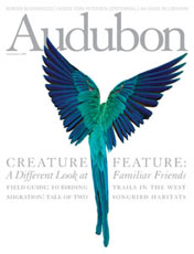 Audubon-August 2008