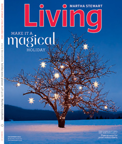 Martha Stewart Living-Dec. 2011: "Make It a Magical Holiday" 