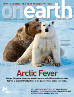 OnEarth-March 2011: "Arctic Fever"