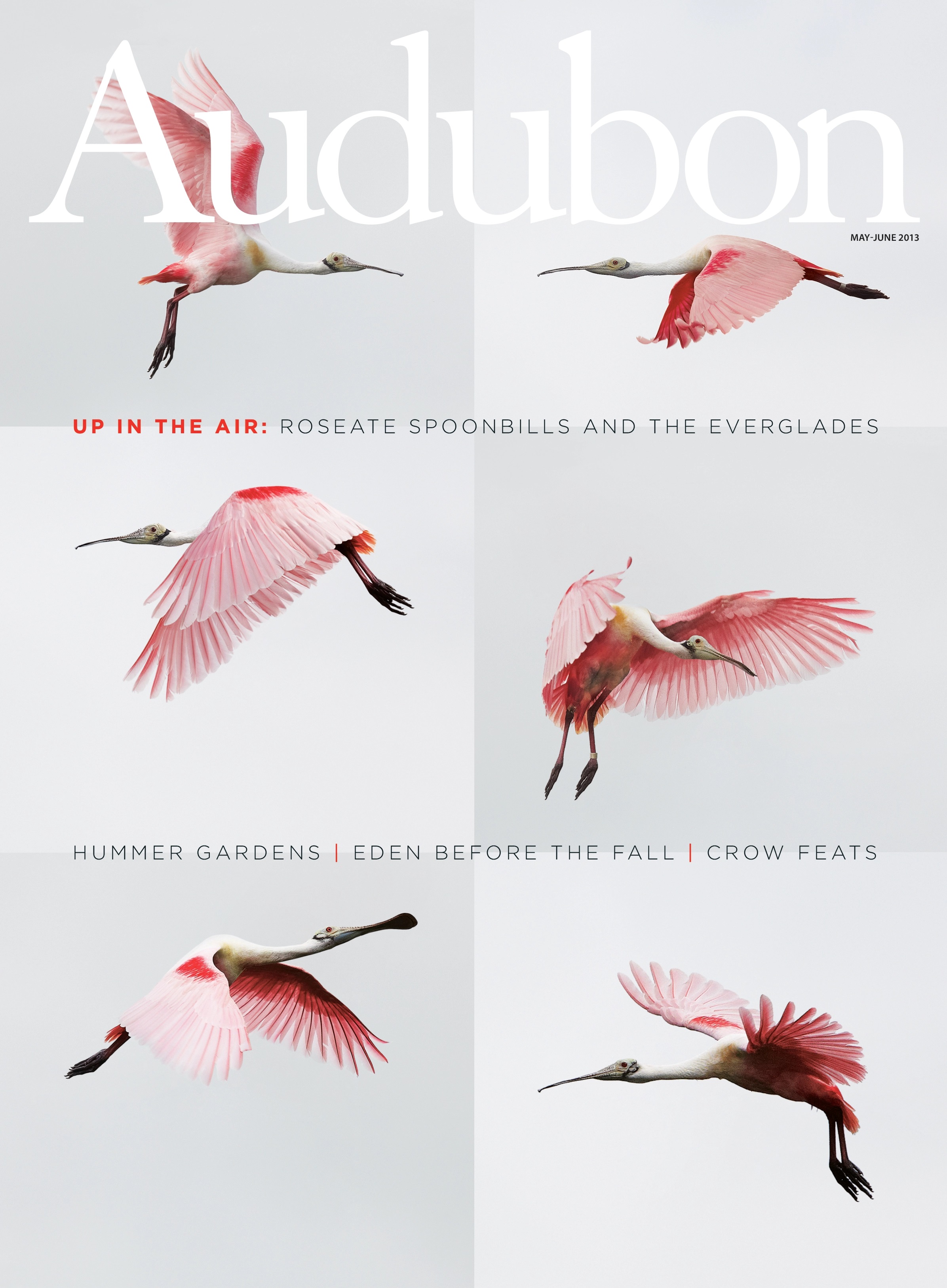 Audubon-May–June, "Up in the Air"