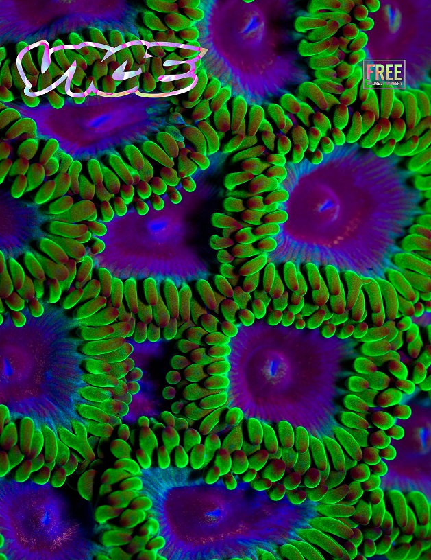 VICE-August 2014, "Coral"