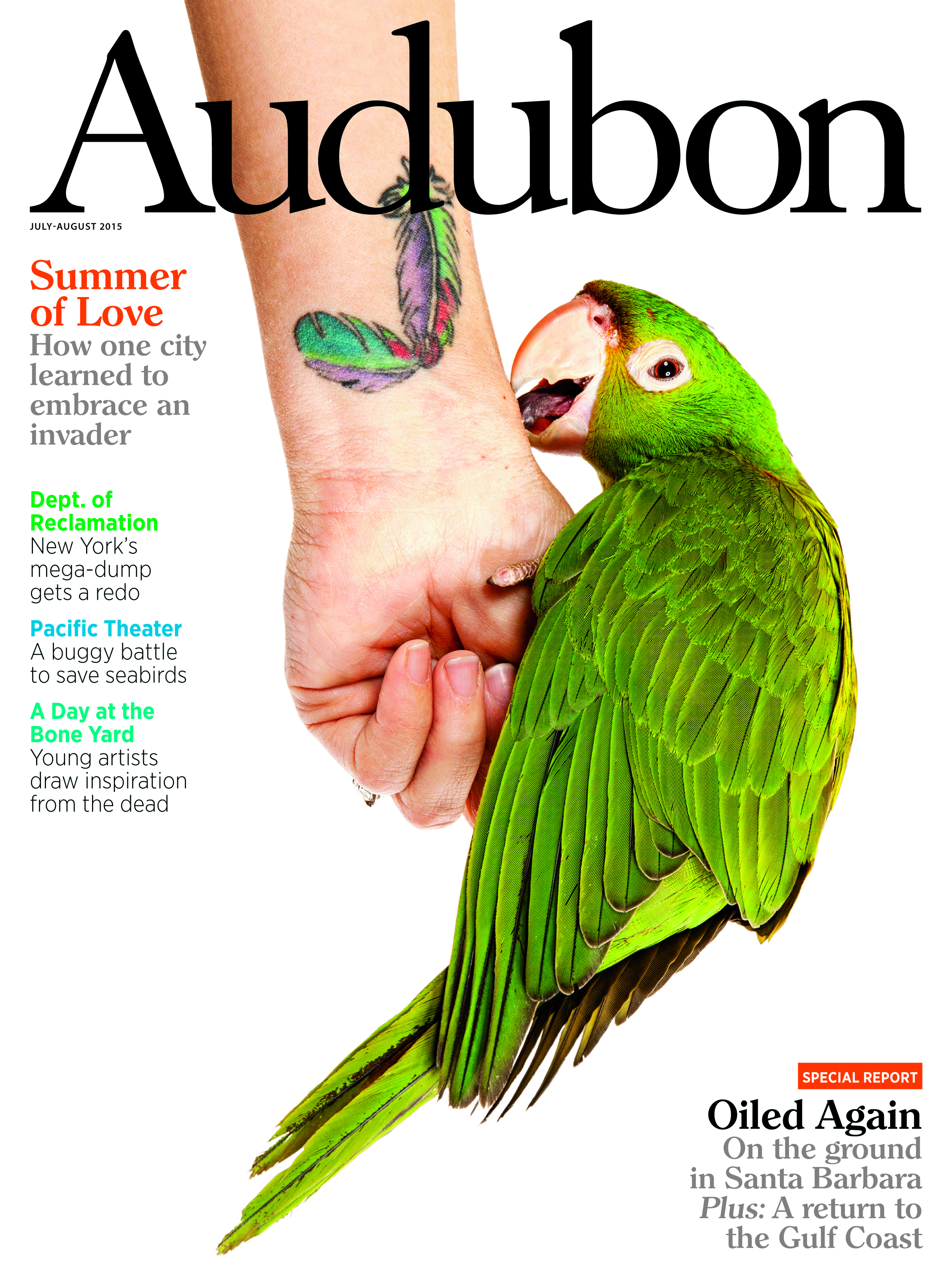 Audubon-"Parakeet," July-August