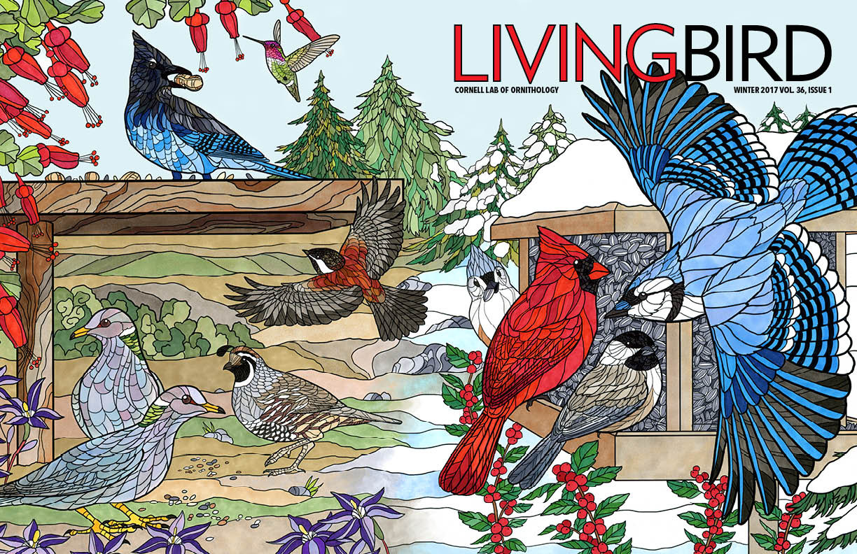 Living Bird - “Winter Issue,” gatefold cover
