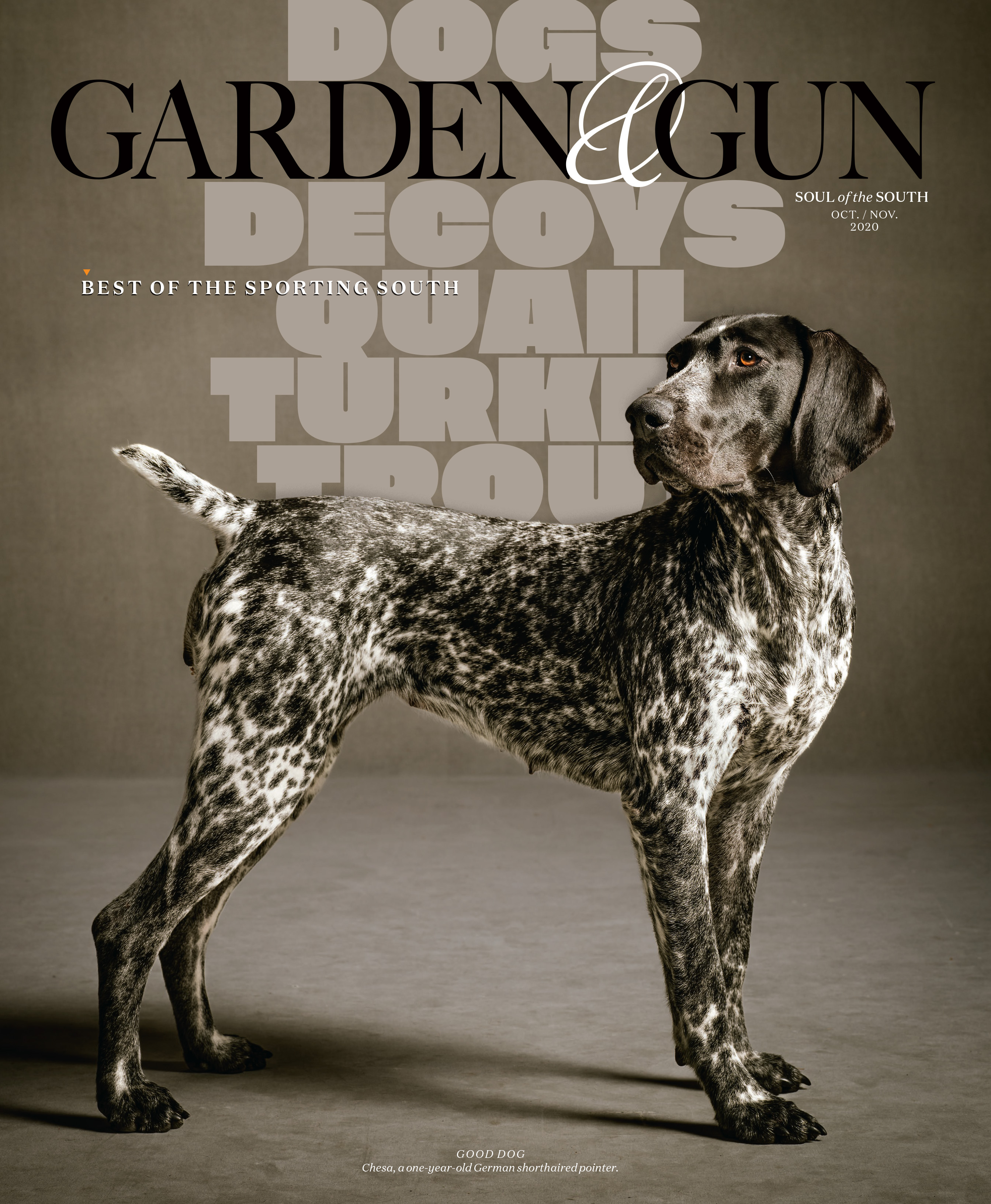 Garden & Gun - Best Service and Lifestyle Cover