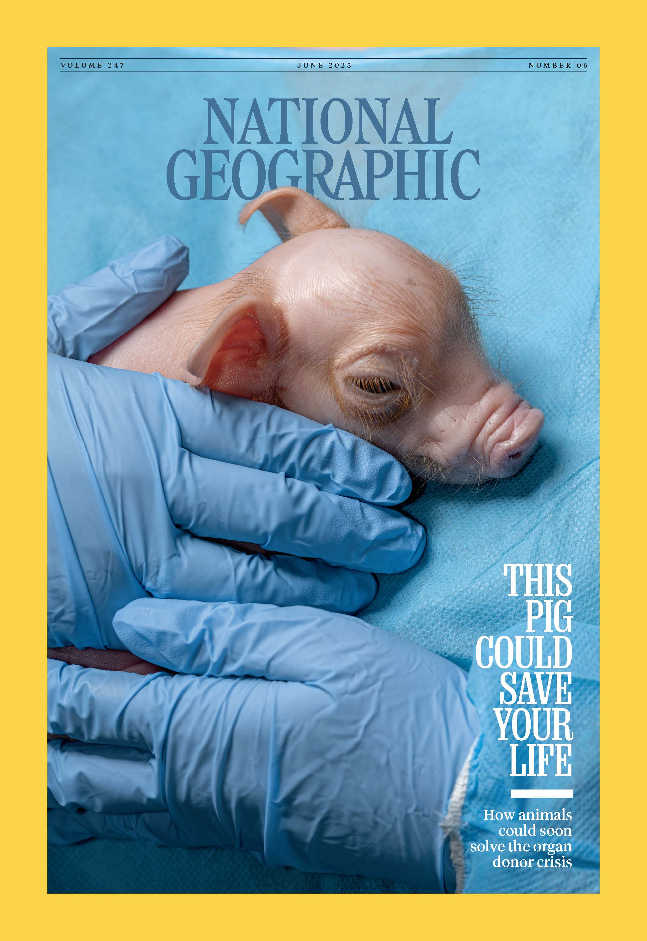 National Geographic-Readers' Choice Awards