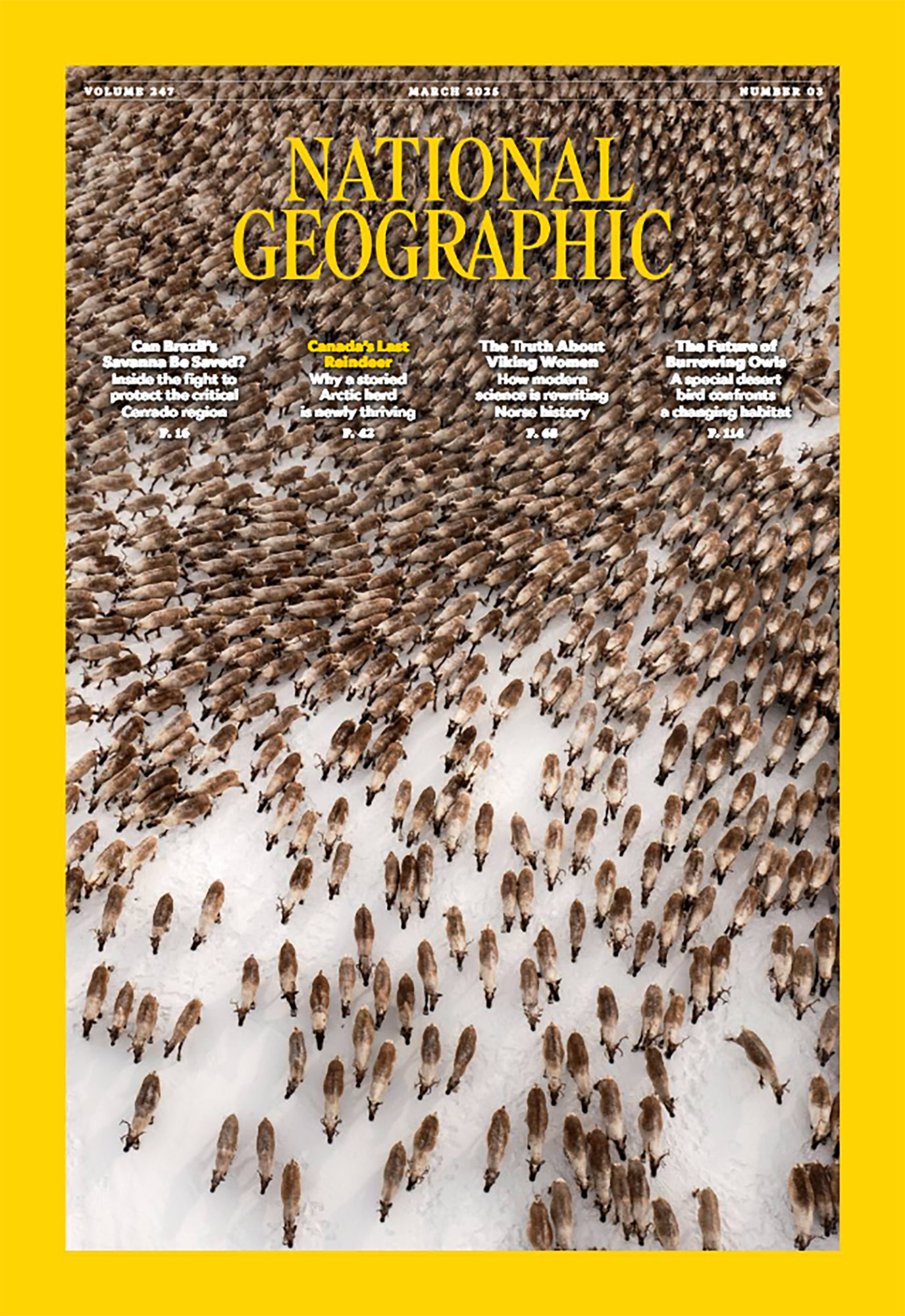 National Geographic-Photography