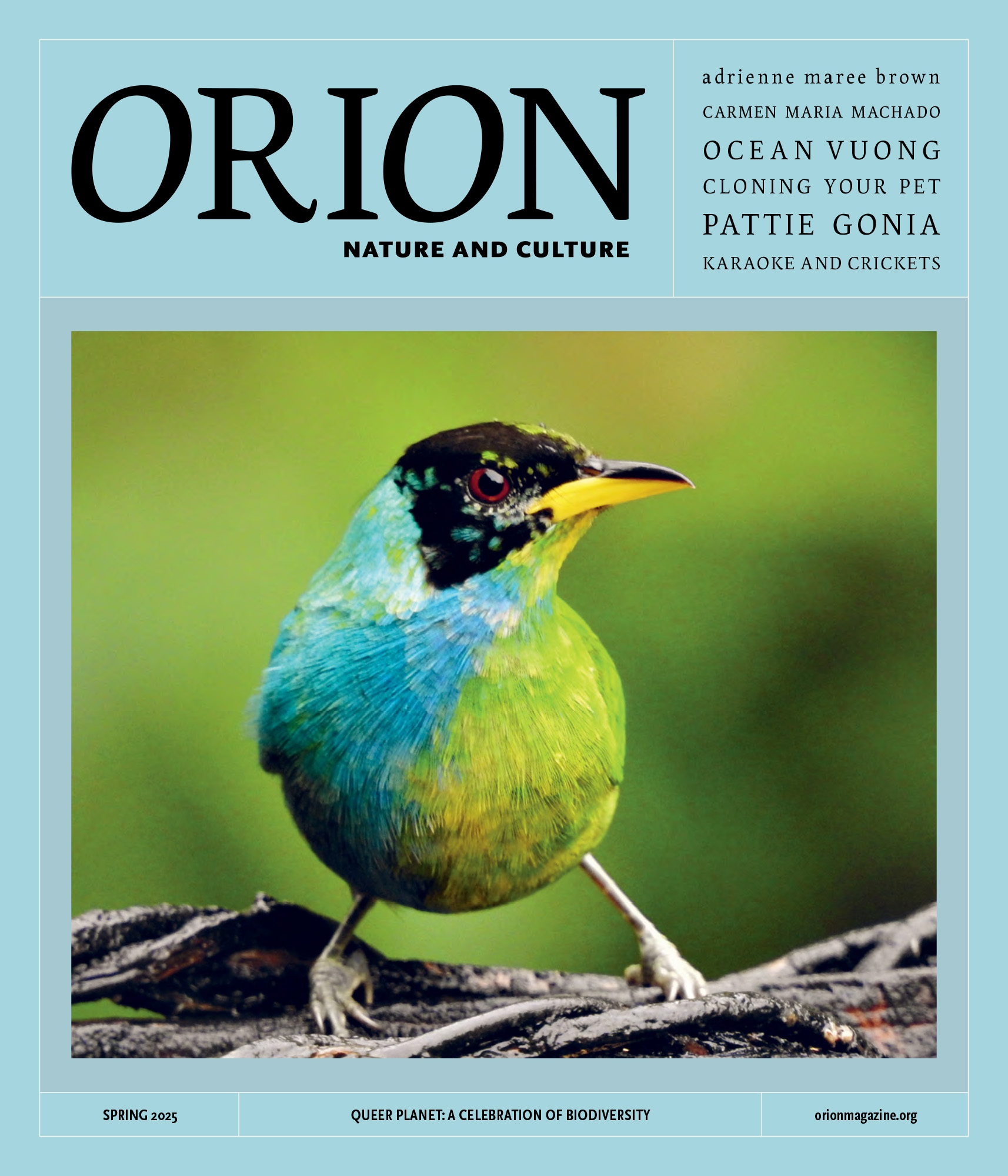 Orion-Single-Topic Issue