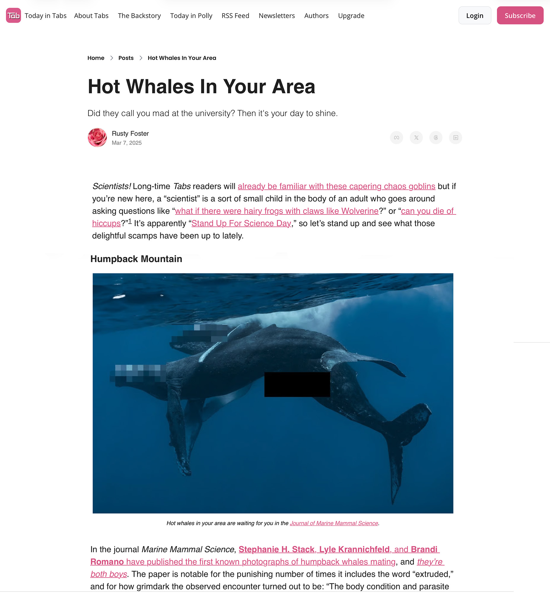 Today in Tabs-Newsletters