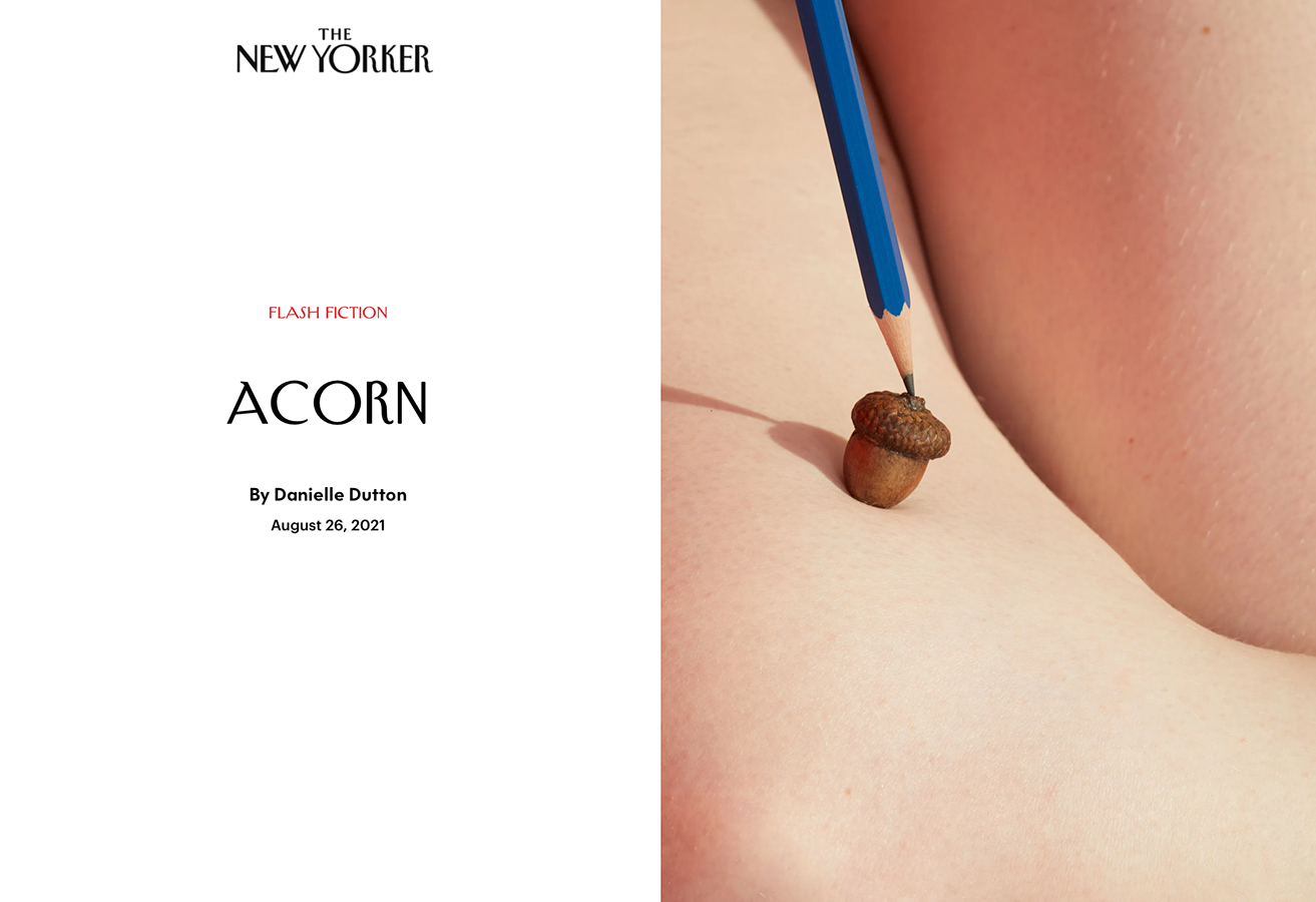 "Acorn," photograph by Kyoko Hamada, August 26 at newyorker.com
