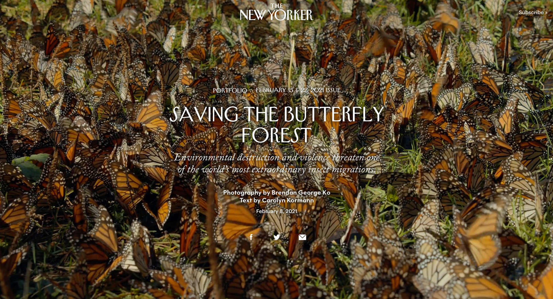 “Saving the Butterfly Forest," photographs by Brendan George Ko, February 8 at newyorker.com